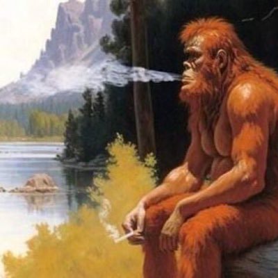 bc1sats's profile picture. ₿.. paving my path.. started from Second Life.. now we here..