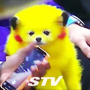 abram9955's profile picture. Blockchain is the Future