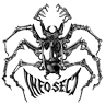 infosectcbr's profile picture. Vulnerability Research & Training