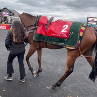 Aodhán (@craicdaf) 's Twitter Profile