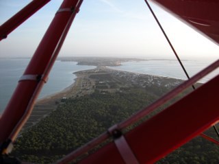 loloveto's profile picture. 