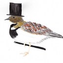 Will Herring - @LordHerring - Twitter