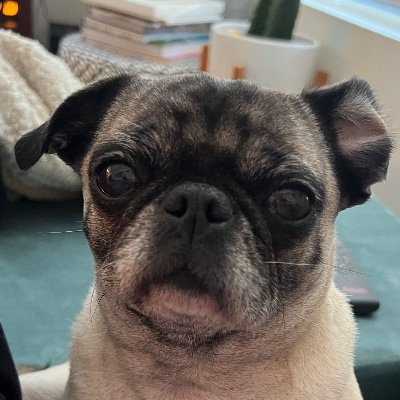 Wrote stuff for Netflix Games, God of War, God of War: Ragnarok, and Horizon 2.
Currently working on ::REDACTED::
Here for the memes.
Be curious, be kind.
