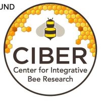 CIBER: Center for Integrative Bee Research(@ciber_bee) 's Twitter Profile Photo