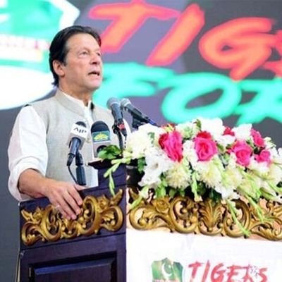 Imran Khan Tiger Force