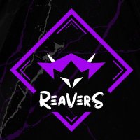 ReaVers Esport(@ReaVersEsport) 's Twitter Profile Photo