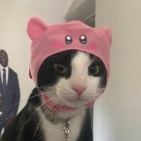 kirbs 🌸さんのプロフィール画像