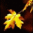 winytosiqe's profile image