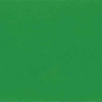 jajudoc's profile picture. 