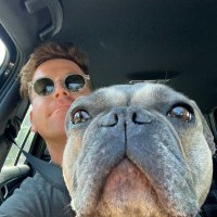 daniel modlin (@dam0dlin) 's Twitter Profile