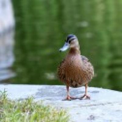 BroderickS84937's profile picture. 