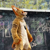 Vinny 😠 (@vinnyote) 's Twitter Profile Photo Vinny 😠 (@vinnyote) 's Twitter Profile Photo