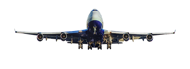 CordiscoFranco's profile picture. Artela Star@Artela_Network
I love traveling and airplanes