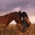 🐎 (@7wooody) Twitter profile photo 🐎 (@7wooody) Twitter profile photo