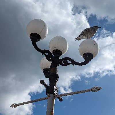 AnOldLamppost Profile Picture