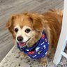 joanmarie000's profile picture. Urban Shield. Homeland Security Citizen Corp. Family of awesome LEO's. Proud defender of all law enforcement. K9sofValor.