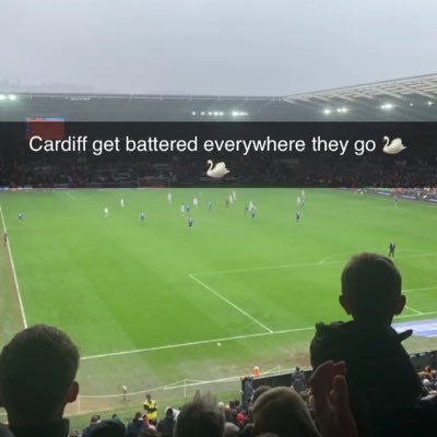 Aneurin0's profile picture. 🦢🦢🦢