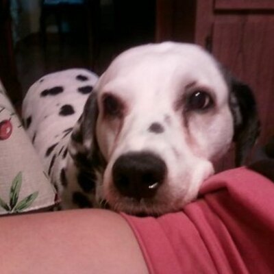 Profile Picture of Laura Liston (@LauraListon23) on Twitter