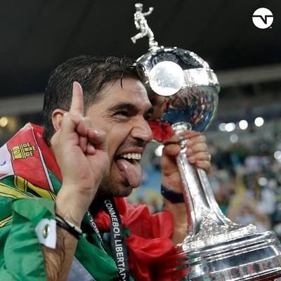 Quando surge o alviverde imponente💚🐷
memes, e postagens sobre o palmeiras