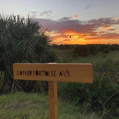 Hundred Acre Hollows is a preserve-outdoor STEM education center in Melbourne, Fl. Protect-Restore-Engage is our mission.