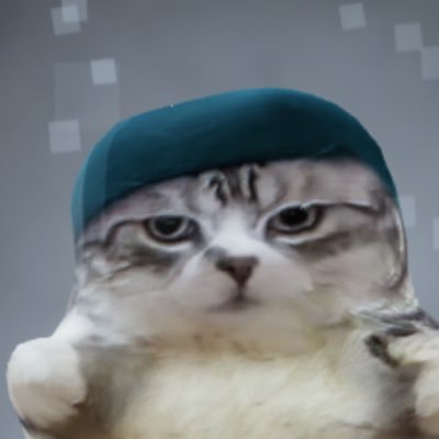 Hey l am a cat that play roblox!