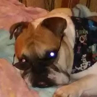 03_f3l1p3's profile picture. ...