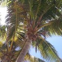 Tracey Crow - @CrowTracey - Twitter