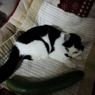 0KohYimTLE60632's profile picture. 越後下越新発田在住
けめるいが新しくるいるいこになりました
単なる携帯新しくしたら接続が上手く行かなかっただけデス