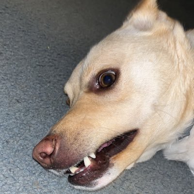 theUncle_RoNY's profile picture. 