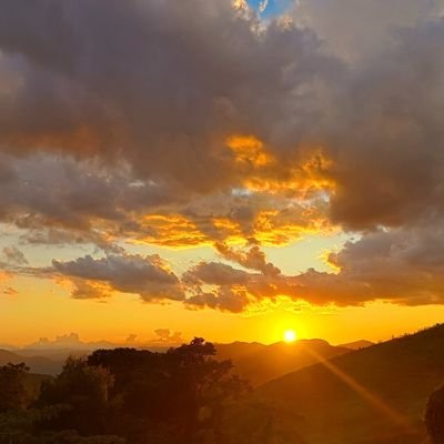 guaranyosorio's profile picture. 