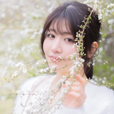 sakurai_koharun Profile Picture