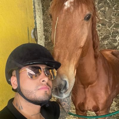 Tiktoker | Músico | Chingón 🇲🇽 Tik-tok: Mikemaquinadelmal (1M)📩Colaboraciones: mikemaquinadelmal@gmail.com
