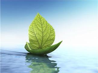 LMUsps's profile picture. LMU Student Psychological Services provides psychological and emotional assistance to currently enrolled LMU students.