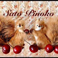 佐藤ピノコ (@satopinoko) 's Twitter Profile Photo