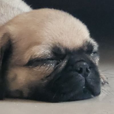 GabPoteto's profile picture. You Stalkin' me huh? 😘