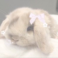zn (@tsukiznq) 's Twitter Profile