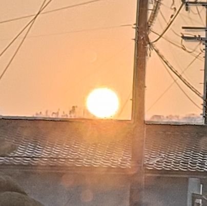 kX036vCWPq82436's profile picture. 