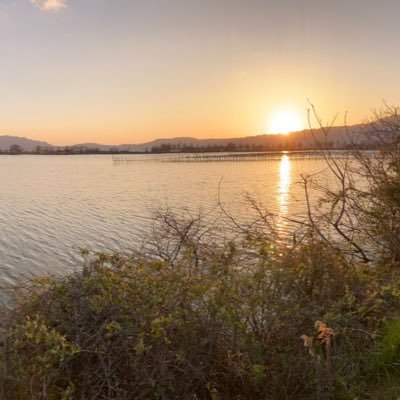 clphnflkrt's profile picture. 呟き メモ　アフリカ