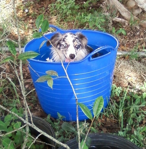 Wendybunnygirl's profile picture. Seeker of light, truth, innovation, & technology...