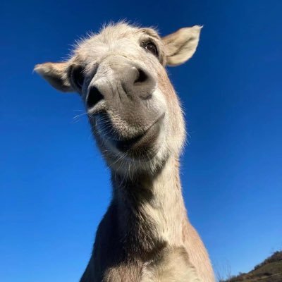 YangLiang59713's profile picture. 人生中的机会只有几次你抓住了就上去了 当机会出现的时候勇于重仓才是英雄本色 全职打到a8为止 我一定可以的
OKX钱包：https://t.co/ClxbxQhcI7
打狗专用：http:// https://t.co/KTMPjXDcHn