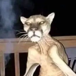 jordyfilip's profile picture.