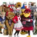 College Junky (@ncaajunky) Twitter profile photo