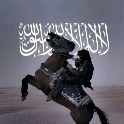 The alt account of @SeyedAli_1 | Muslim