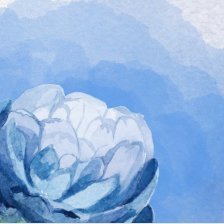 HowiydaAlyenbaa's profile picture. 