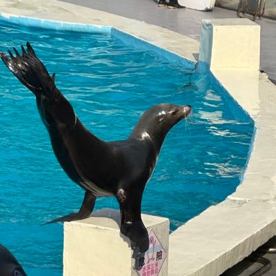 UKEN_pencil's profile picture. フォローして→@10_uken もうあんま使わんヘッズ垢