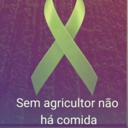 Que todos os Anjos guerreiros protejam o BRASIL contra o 🐲 com cabeça de serpente.
Santíssima Trindade cercai-nos só do BEM.
NS APARECIDA nos proteja📿🇧🇷🙏