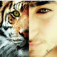 kuldeep singh(@kuldeepsingh__2) 's Twitter Profile Photo