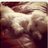 rockyou425's profile image