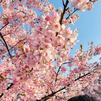 R6年前期保育士試験受験します✏︎合格して桜咲かせるぞー🌸🌸🌸 1歳の男の子ママ👶💙トライアングル生🌸前期試験桜組🌸無言フォロー失礼致します🙇保育士関連の方お気軽にフォローして下さい🎵