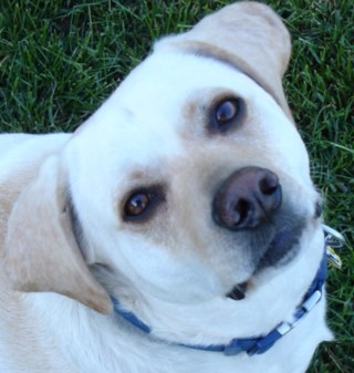 yeahfunnyderek's profile picture. Engineer